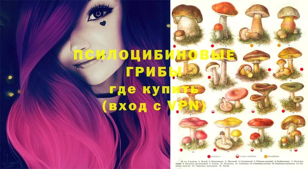 трава Вязники