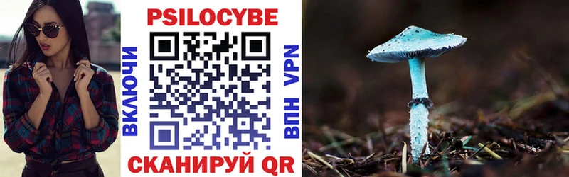 Псилоцибиновые грибы Psilocybe  Купить где  Любань 